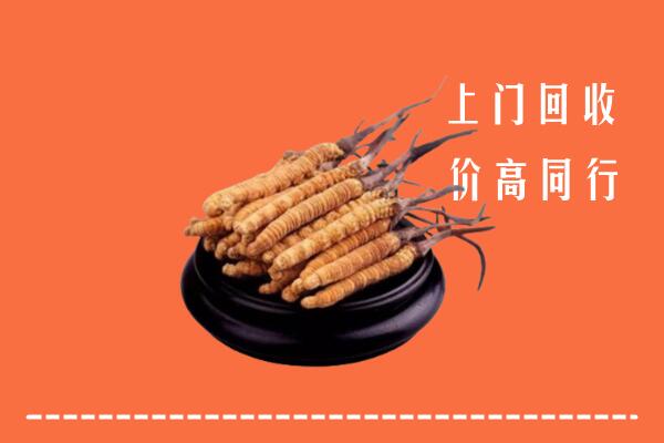 附近收购：岳池县冬虫夏草回收多少钱每克